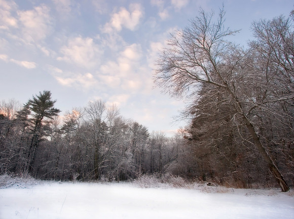 Taunton MA