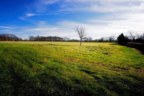 Turtle Hill Farm