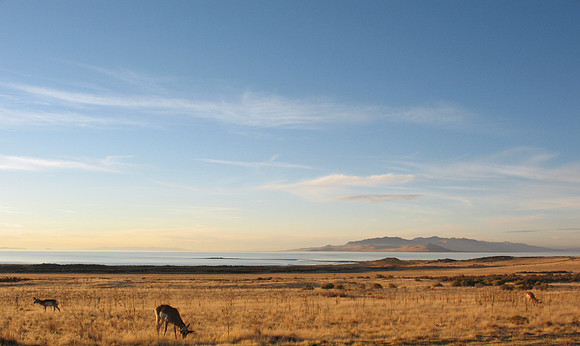 The Great Salt Lake
